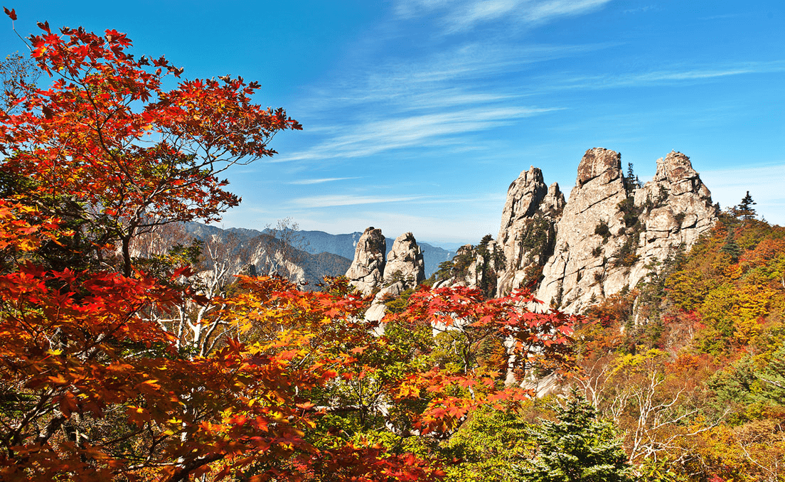 Ngỡ ngàng mùa thu tuyệt đẹp ở núi Seorak
