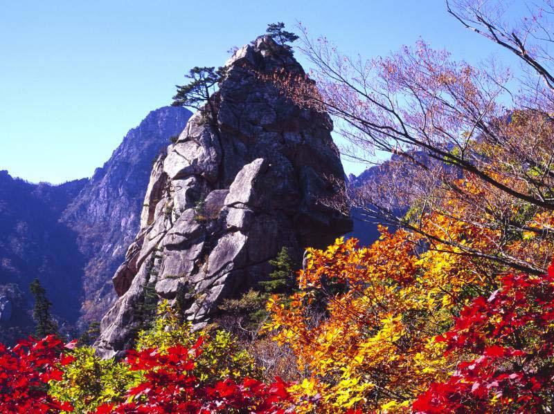 Ngọn núi được ví như một bản tình ca của xứ Hàn