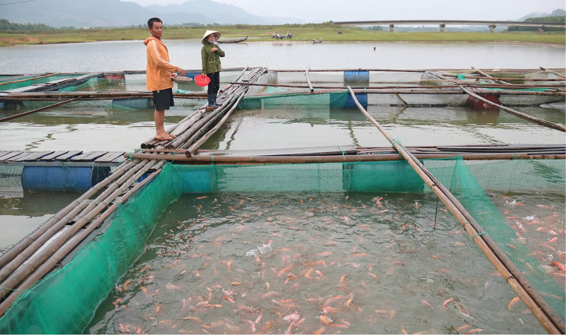 Các biện pháp khắc phục sau khi bão đi qua mà người nuôi thuỷ sản nên biết