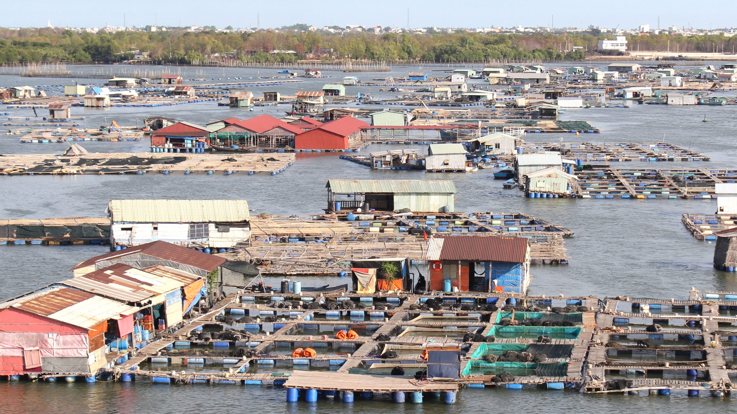 Thời tiết ảnh hưởng rất lớn tới quá trình chăn nuôi thuỷ sản