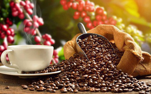 Gián đoạn xuất khẩu cà phê