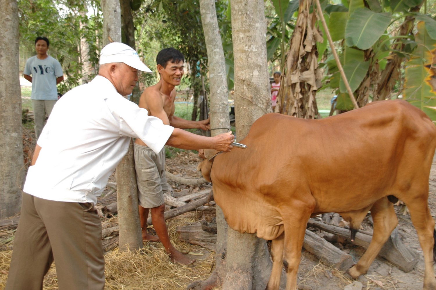 Cách chữa bệnh